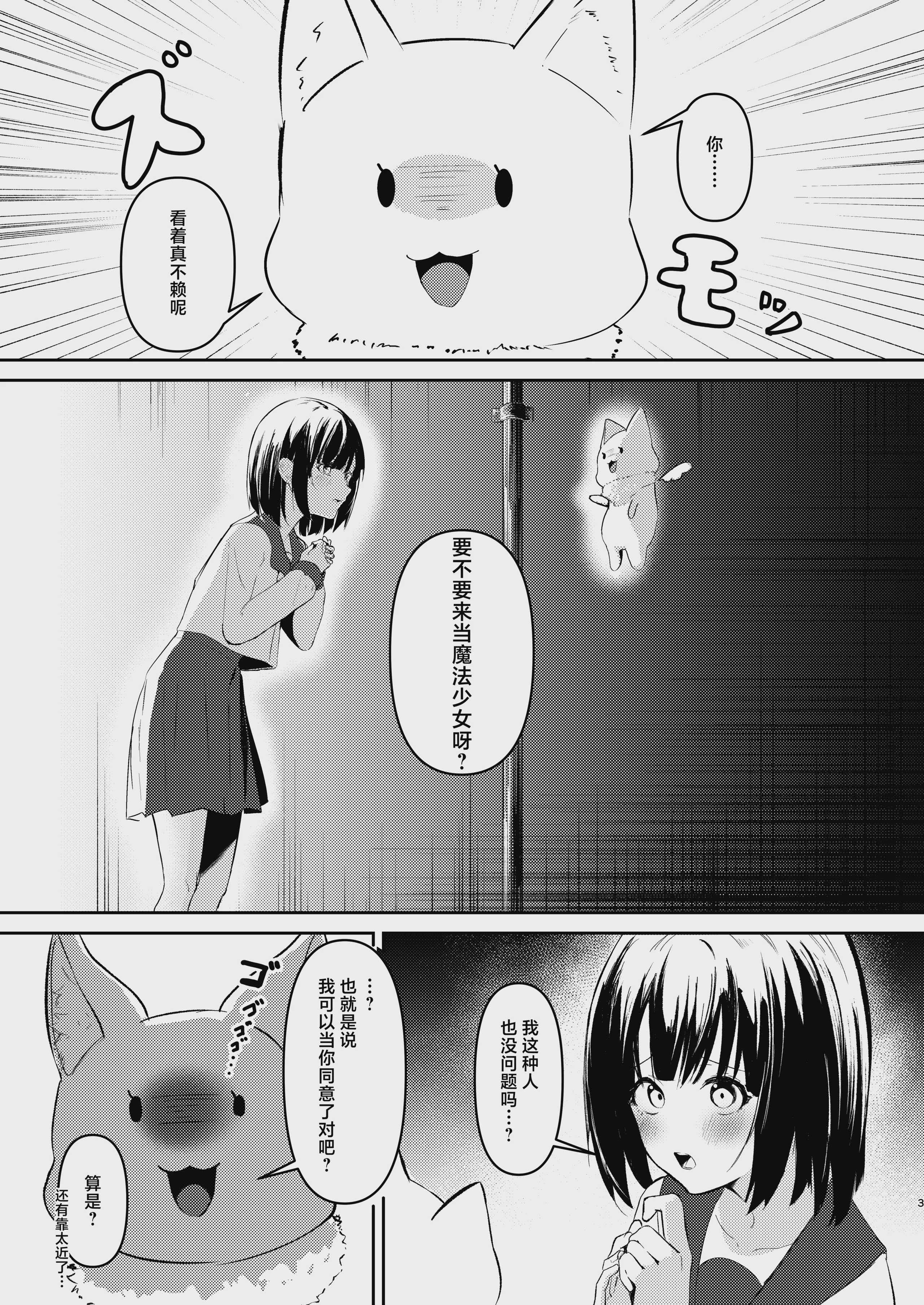 魔法少女の敗北｜魔法少女的战败 第1话 第3页